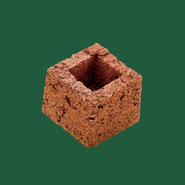 Eazy Block 7,5 × 7,5 cm – Anzuchtblock für Stecklinge & Jungpflanzen