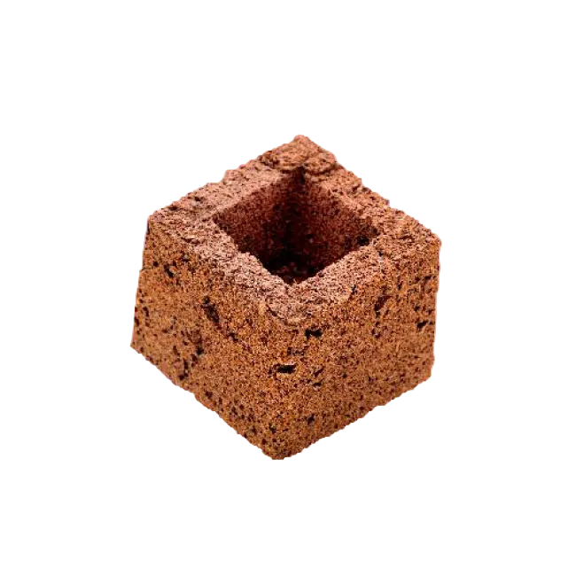 Eazy Block 7,5 × 7,5 cm – Anzuchtblock für Stecklinge & Jungpflanzen