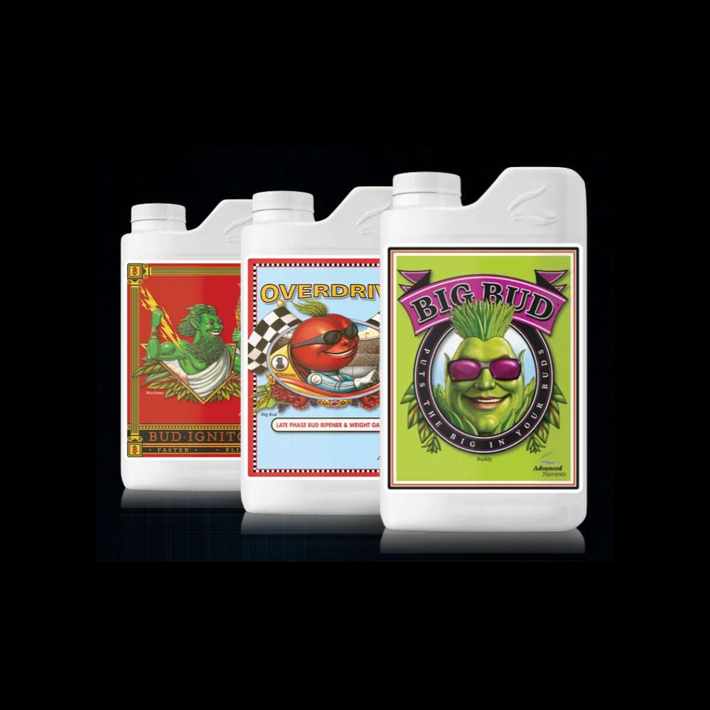 Advanced Nutrients Big Bud 250 ml – Blütebooster für größere Blüten