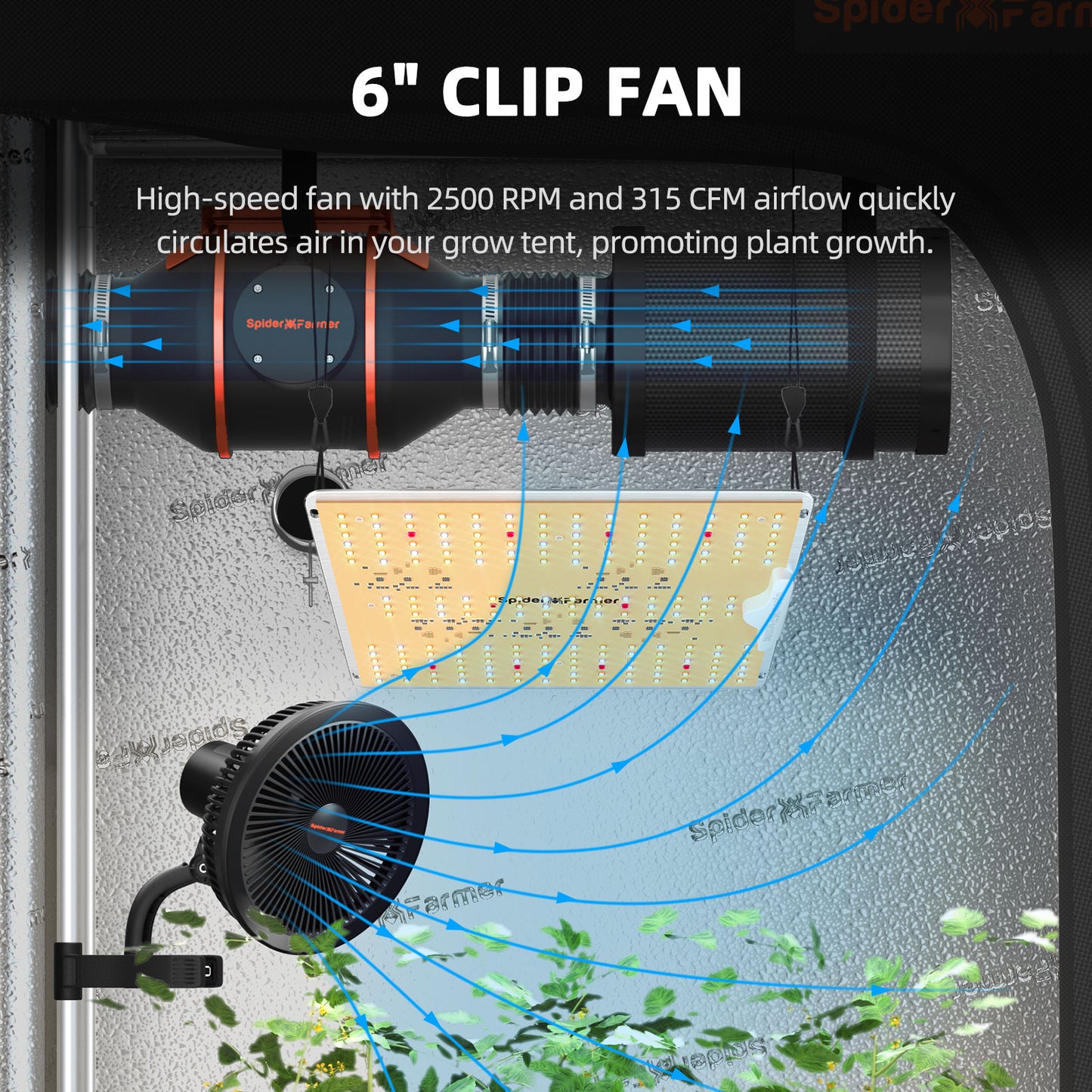 Spider Farmer SF-1000D 70x70x160 cm Komplettset Growbox | LED Grow Kit 100W Vollspektrum