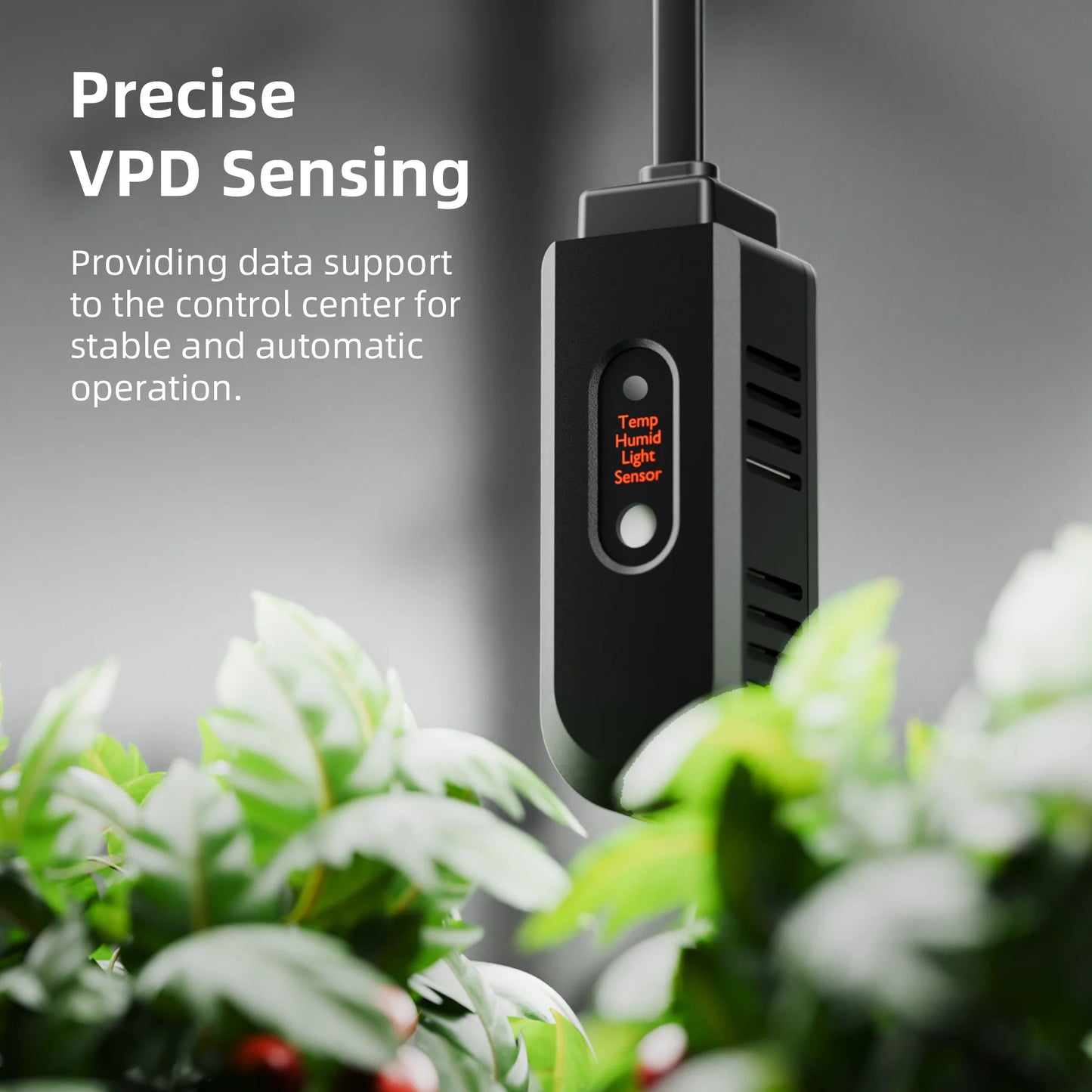 Spider Farmer GGS Controller Kit – Smarter Grow-Controller mit App WiFi + Bluetooth