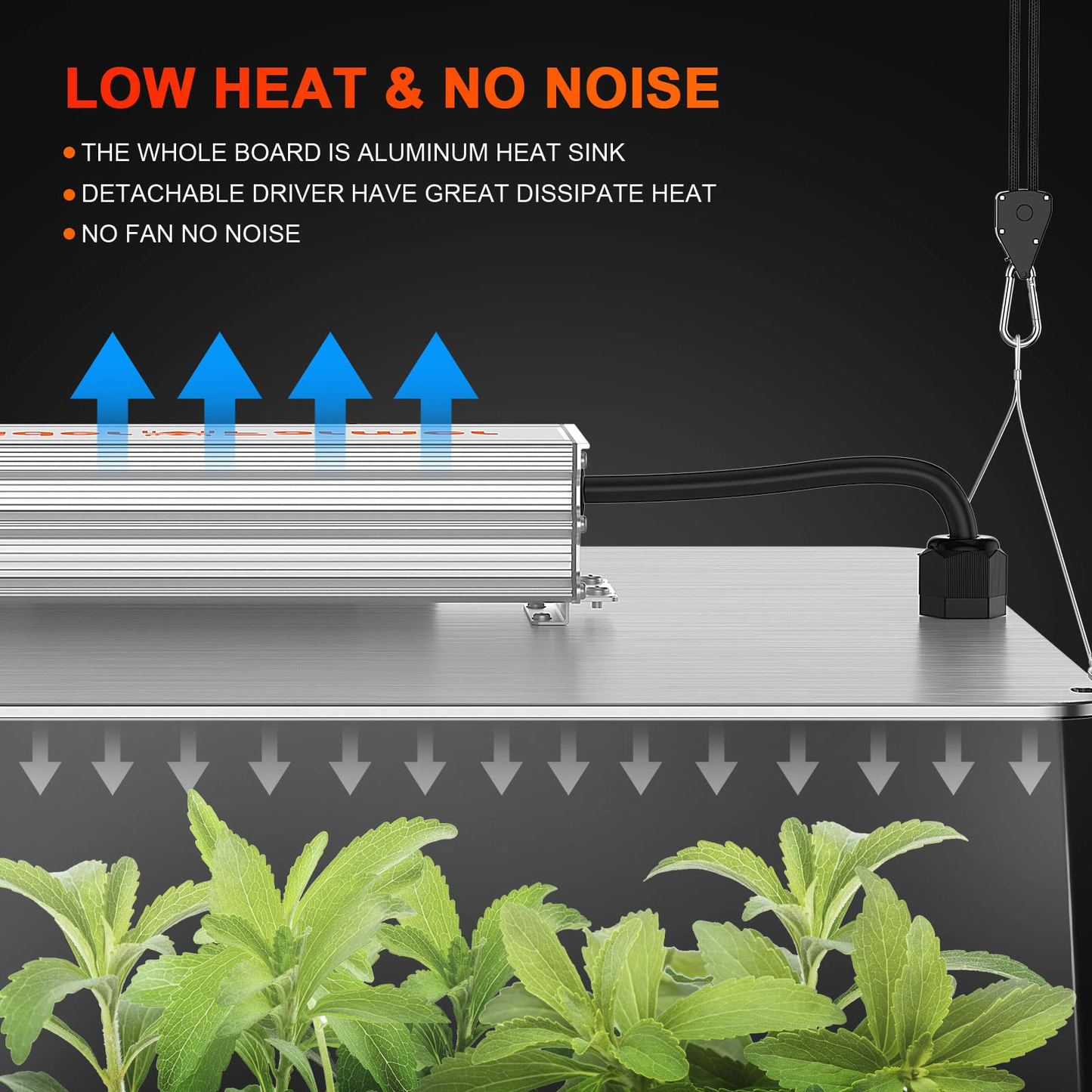 Spider Farmer SF-1000D 70x70x160 cm Komplettset Growbox | LED Grow Kit 100W Vollspektrum