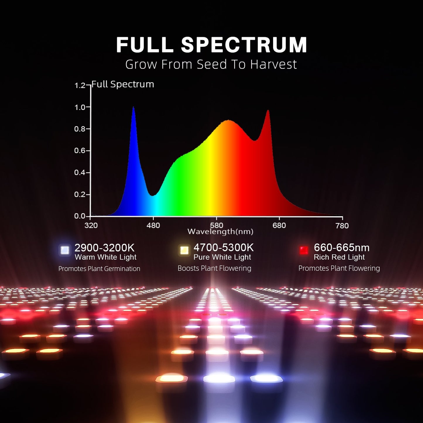 Spider Farmer SF-1000 Komplettset Growbox 70x70x160  cm | LED 100W Vollspektrum Indoor Grow Kit