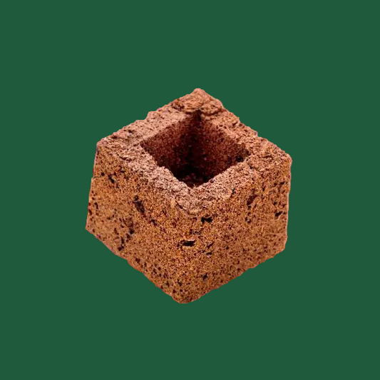 Eazy Block 7,5 × 7,5 cm – Anzuchtblock für Stecklinge & Jungpflanzen