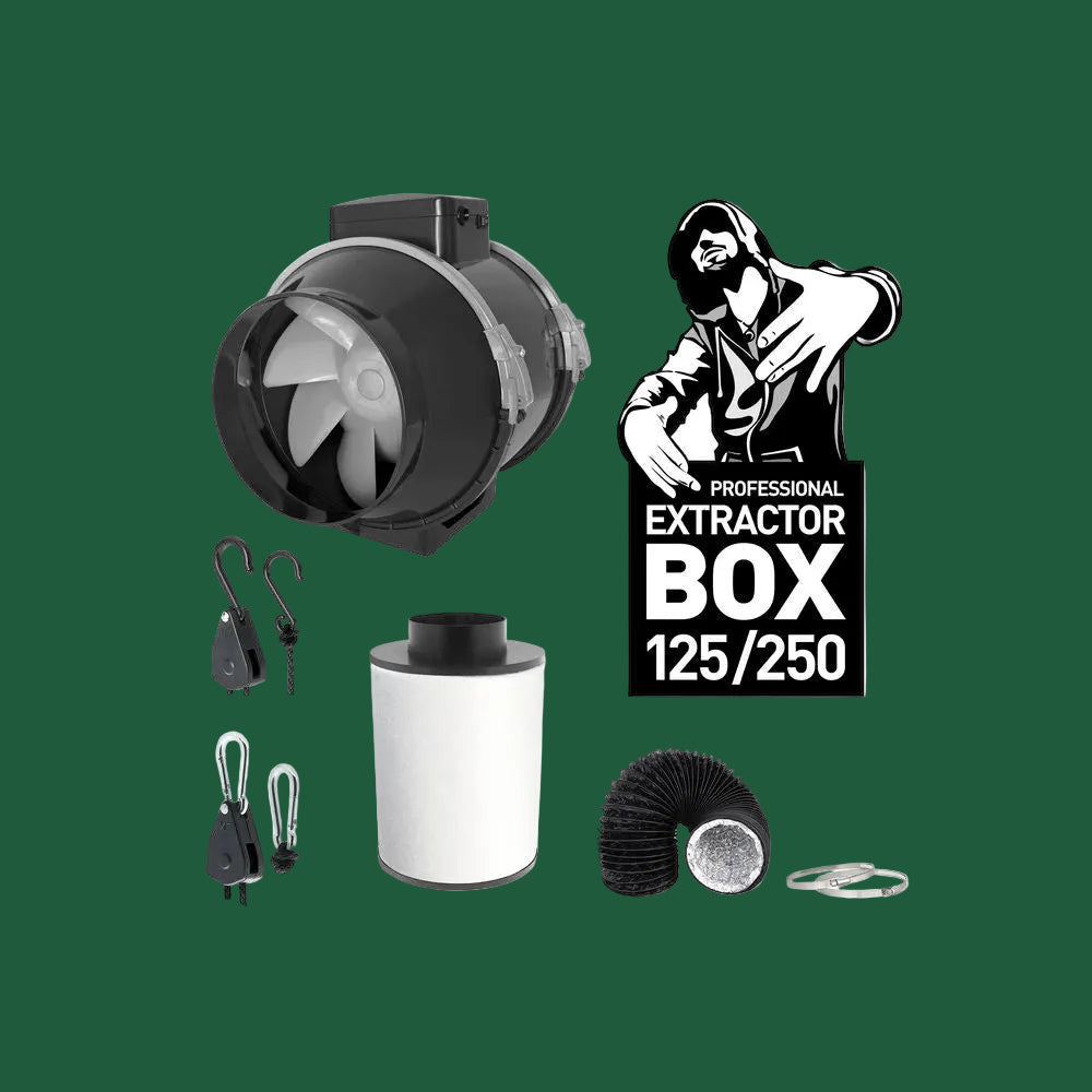 Trafika KIT Extractor 125 mm 250 m³/h – Komplettes Abluftset mit Aktivkohlefilter