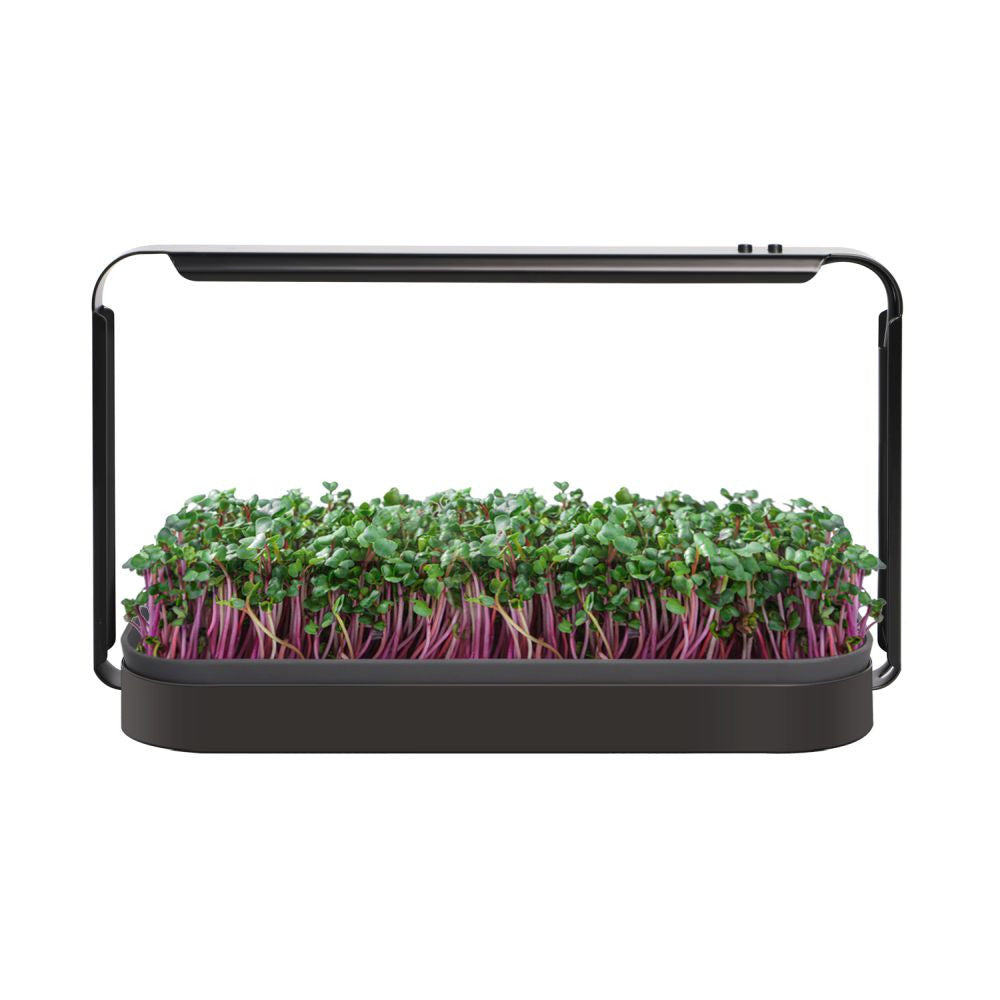 Urban LED 16W Mini Grow Kit – Microgreens Indoor 6400K
