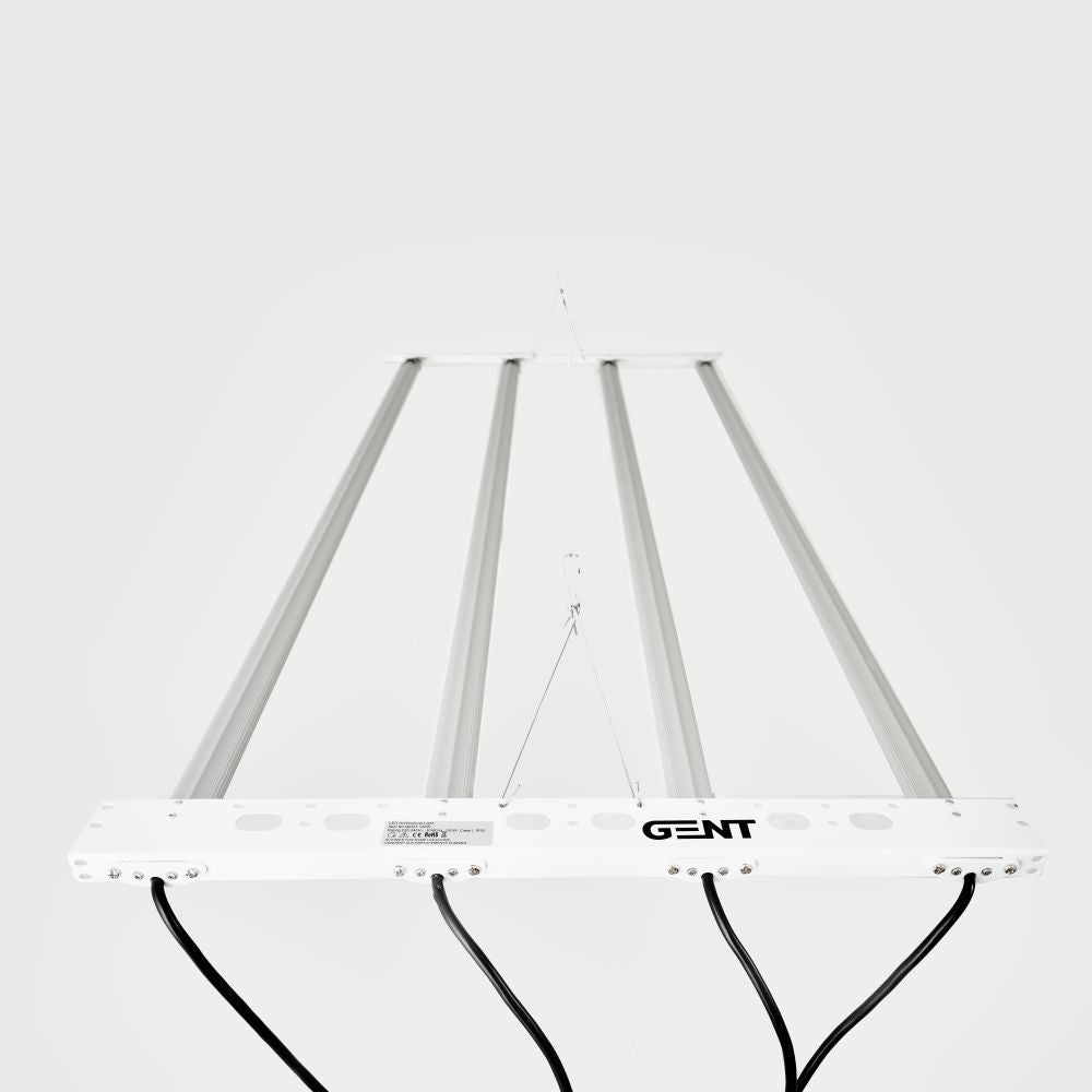 GENT LED Dimmer Rack Kit 200W – LED System für Stecklinge und Microgreens