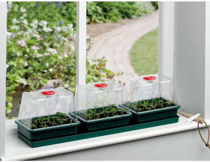 Garland Propagator 3 Top Windowsill – Zimmergewächshaus für Fensterbank
