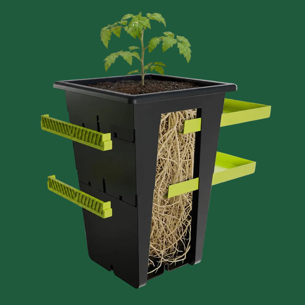 Re-Plant Pot 11L – Erweiterbarer Pflanztopf ohne Umtopfen
