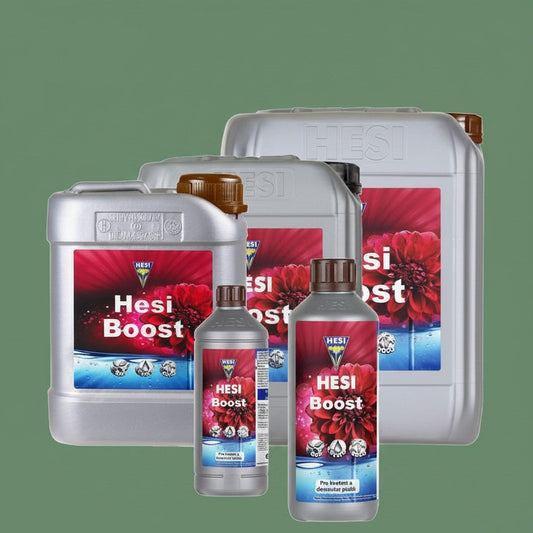 HESI Boost  – Organischer Blütestimulator für kräftige Blüten