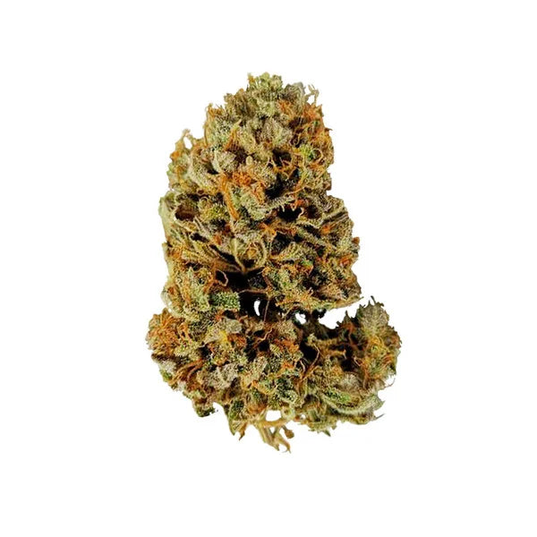 Royal Queen Seeds White Widow Auto – Der legendäre Klassiker als einfache Autoflower (3 Samen)